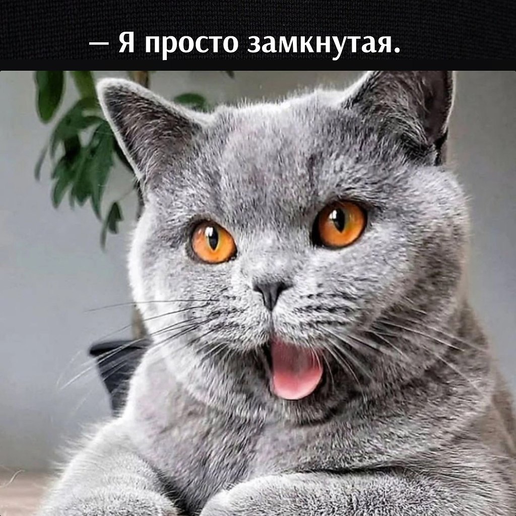       - 8  2023  12:04 - 2