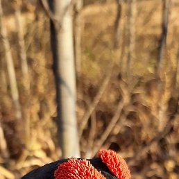 ���, ������, 63 ����