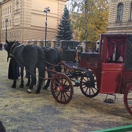 �������, �����-���������, 54 ����