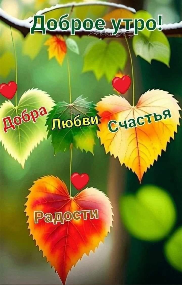  :    !... - 2