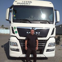 �����, ������, 37 ���