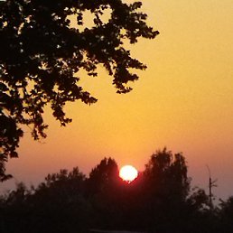 ���� ���������, �����, 53 ���� - ��������� 10 ���� 2023