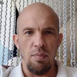 ������, ���������, 44 ����