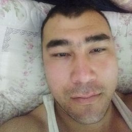 Joxa, �������, 37 ���