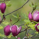 ���� ������, �������, 52 ���� - ��������� 3 ��� 2023 � ������ ���� ����������