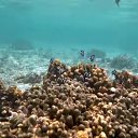    -  ,  -  27  2023    2023