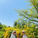 ���� ����, �����������, 48 ��� - ��������� 28 ��� 2023 � ������ ������ ��������