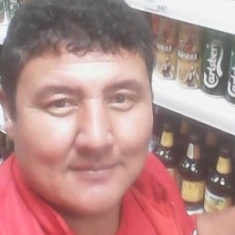 �����, ������, 46 ���