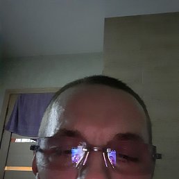 ����, ����������, 43 ����