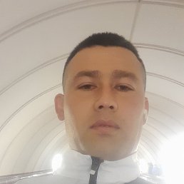 ��������, 33 ����, ������