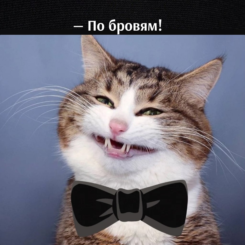  : - 3