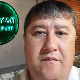 ����, �����, 46 ���