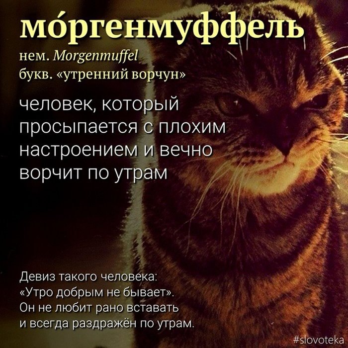   ! - 15  2023  11:40