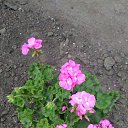 ���� ���������, ���������, 64 ���� - ��������� 18 ���� 2023