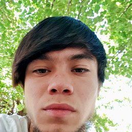���� Komol, �������, 25 ��� - ��������� 11 ���� 2023