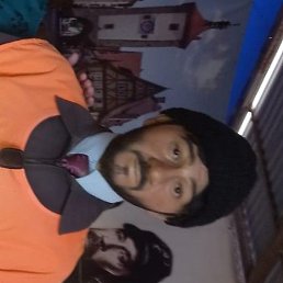 �����, ������, 51 ���