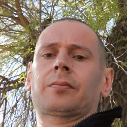 ���������, �������, 45 ���