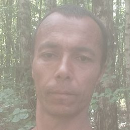 ����, ������, 40 ���