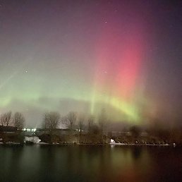 ��������, �����, 44 ����