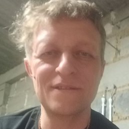 ������, ��������, 41 ���