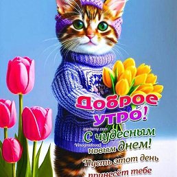 ��, �������, 40 ���