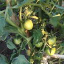 ���� ����, �������, 61 ��� - ��������� 5 ���� 2023 � ������ ���� ����������