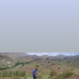 Sherzod, �������, 33 ����