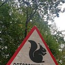 ���� ����, �������, 42 ���� - ��������� 21 �������� 2023 � ������ ������ ��������