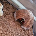 ���� ###�������*****, ������������� - ��������� 23 ������� 2023 � ������ ������