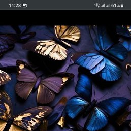 �����, ������-��-����, 57 ���