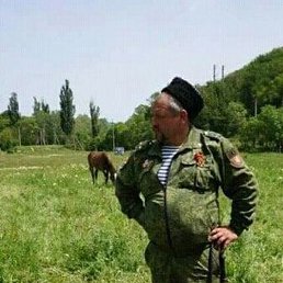 ������, �����������, 50 ���