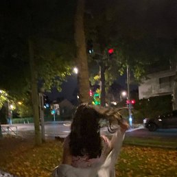 �����, ������, 24 ����