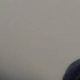 ��������, ������, 49 ���