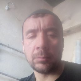 ������, ���������, 46 ���