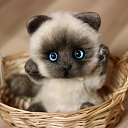 ���� ����, ���������, 39 ��� - ��������� 20 ����� 2023