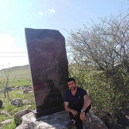 �����, ������, 37 ���