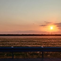 ����, ���������, 38 ���