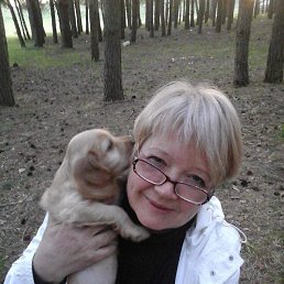 �������, ������, 63 ����