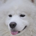 ���� ������, ����������, 49 ��� - ��������� 10 �������� 2023 � ������ ���� ����������