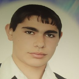 ����, �����-���������, 31 ���