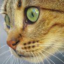 ���� �����, �����, 50 ��� - ��������� 20 ������� 2023