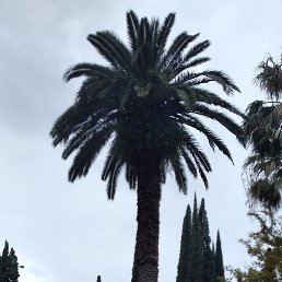 ������, ����, 57 ���