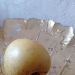 ���, ������, 36 ���