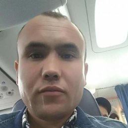 ����, ������, 41 ���