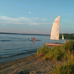 ���������, ����, 44 ����