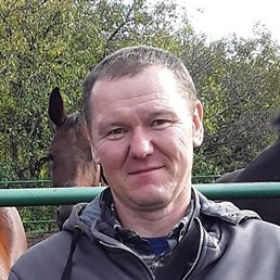 ��������, ������-��-����, 46 ���