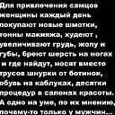 ���� �������, ����������� - ��������� 2 �������� 2023 � ������ ���� ����������