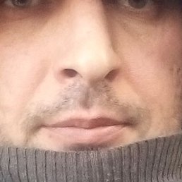 ����, �������, 40 ���