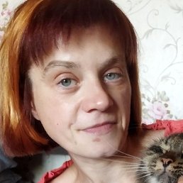 ���, ������, 41 ���