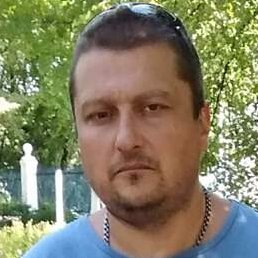 �������, ������, 46 ���